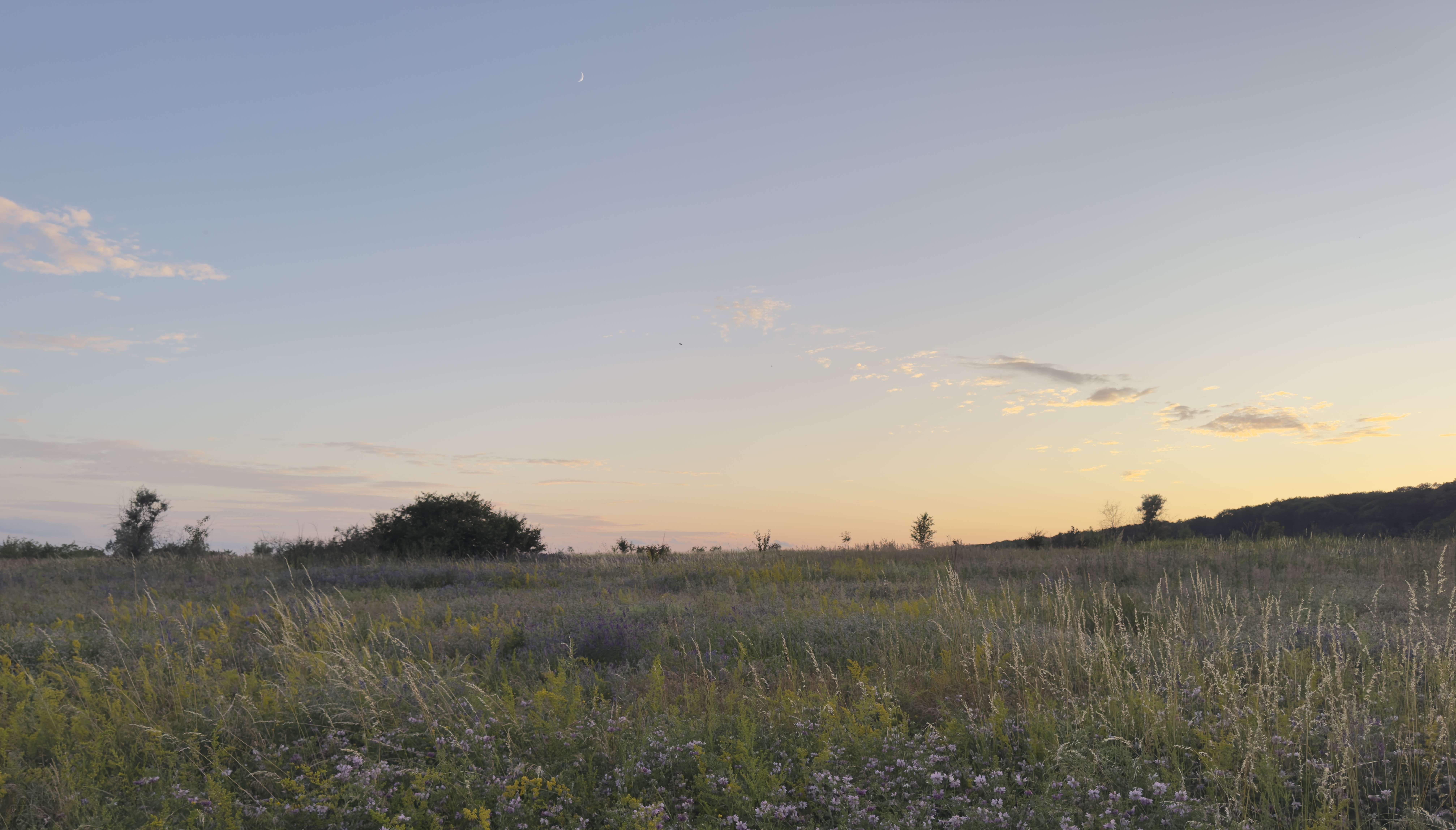 Центральна Європа